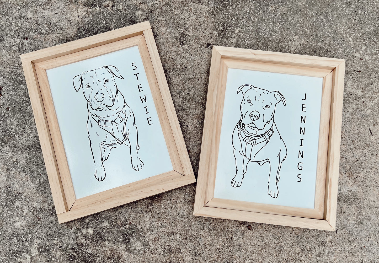 Custom pet portrait