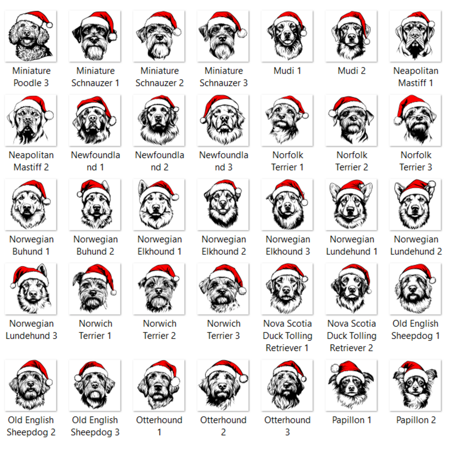 Santa Dog Sweatshirt